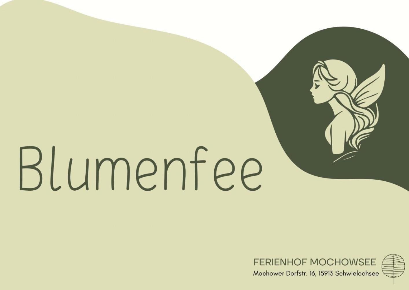 Ferienhof Mochowsee Schwielochsee Bilik gambar