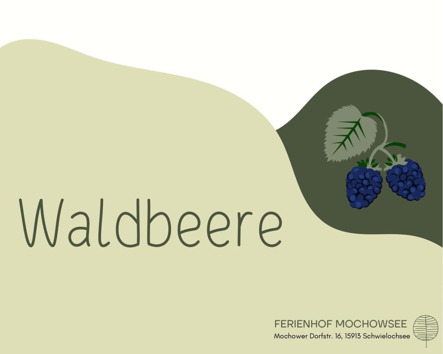 Ferienhof Mochowsee Schwielochsee Bilik gambar